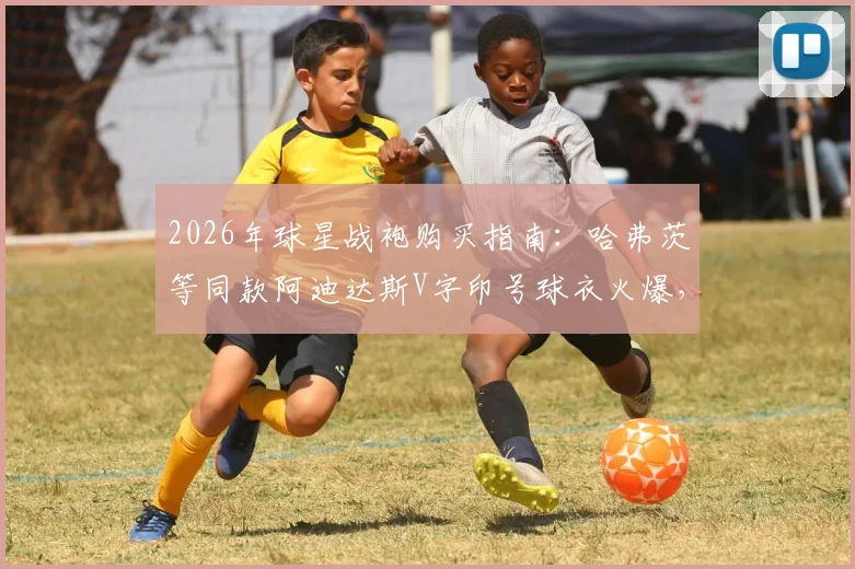 2026年球星战袍购买指南：哈弗茨等同款阿迪达斯V字印号球衣火爆，热门尺码库存紧张